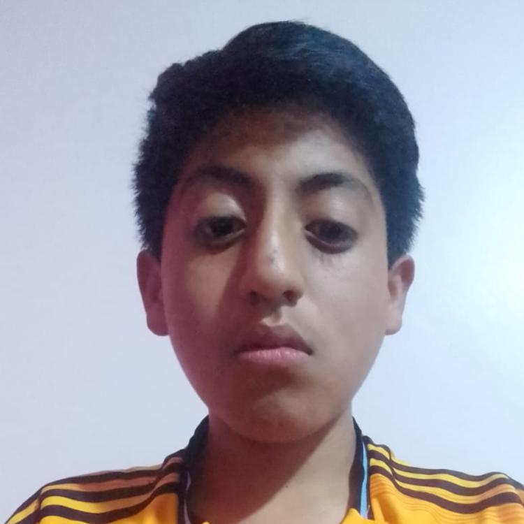 User Image
