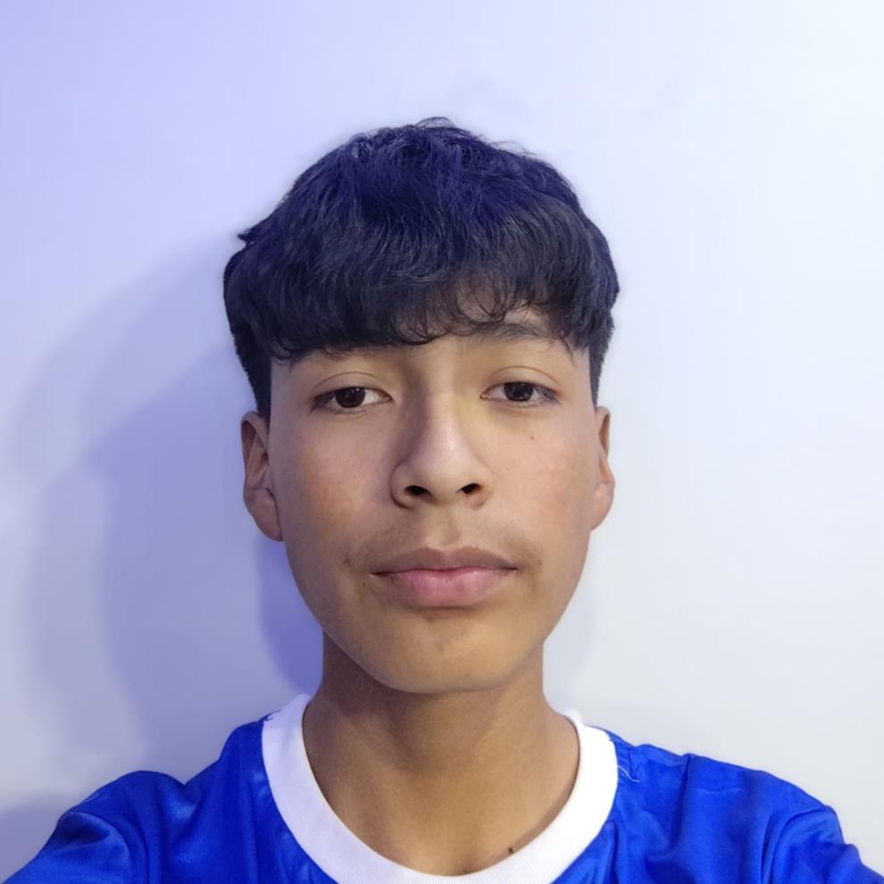 User Image