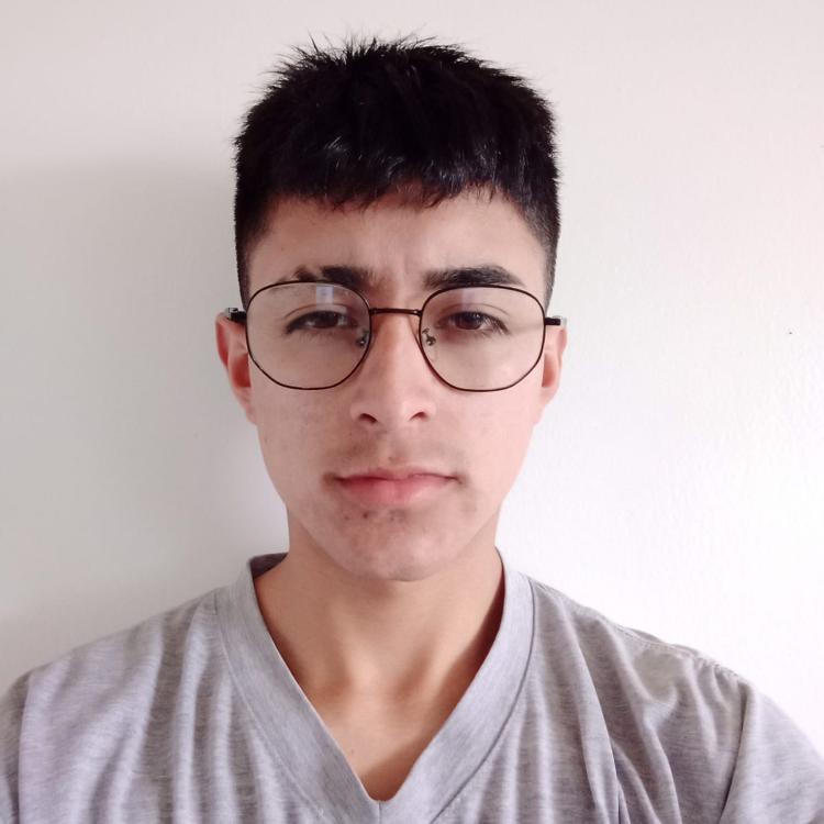 User Image