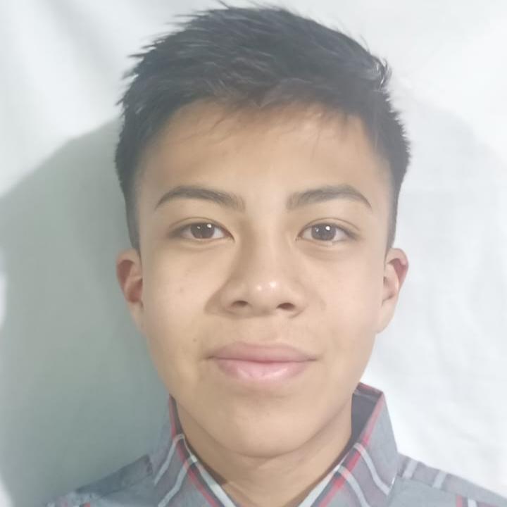 User Image