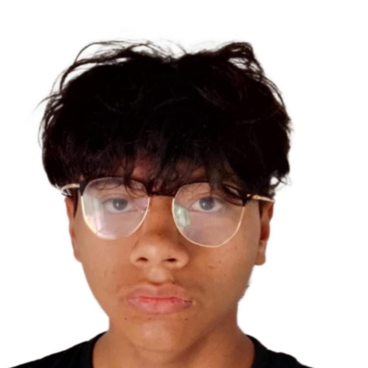 User Image